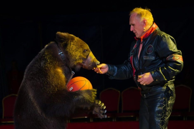 Su meška užsibarikadavęs N. Zobovas narve praleido visą naktį 