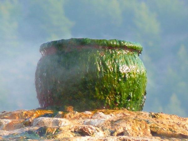 Malaizijoje – tragiškas „žmogaus troškinimo“ ritualas