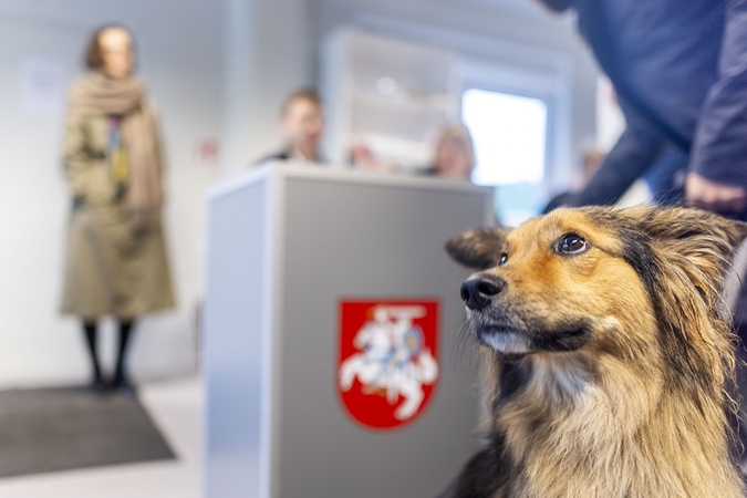 Lietuvoje prasideda balsavimas iš anksto renkant prezidentą, pilietybės referendume