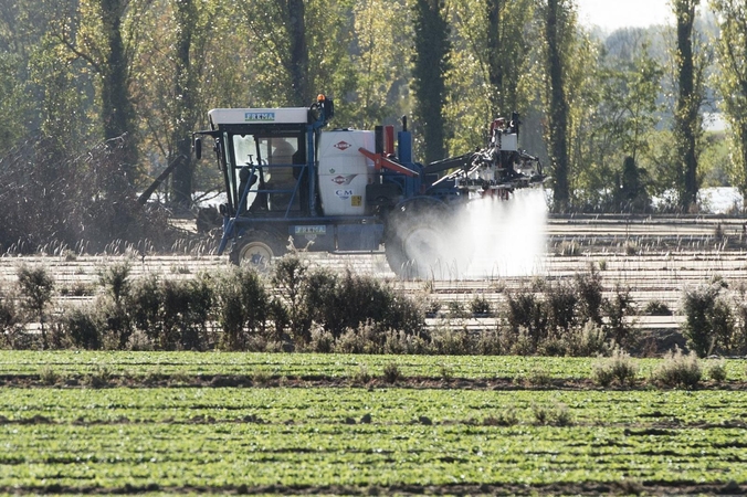 Uždraudė populiarų pesticidą, kuriuo galėjo apsinuodyti dešimtys žmonių