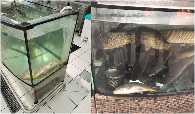 Vaizdai iš "Iki" parduotuvių