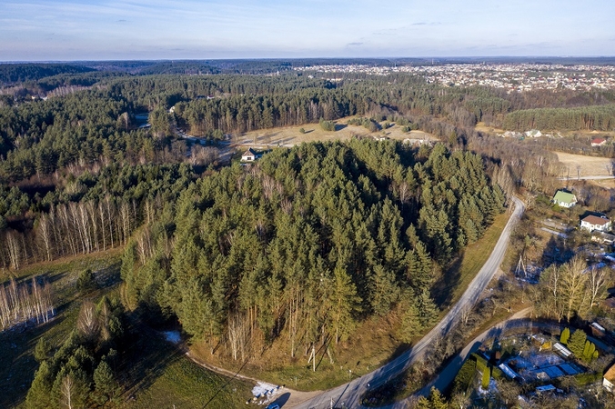 Visuomenininkams piktinantis dėl medžių kirtimų Verkiuose, miškininkai teigia – jie galimi