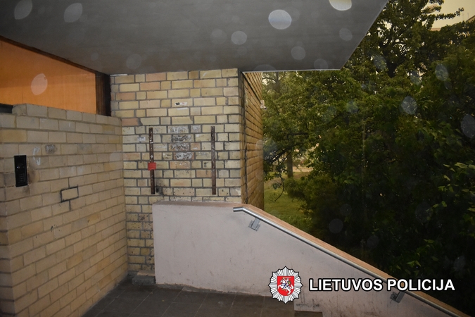 Žiauriai sugyventinę nužudžiusio ir mieste siautėjusio vyro byla perduota teismui