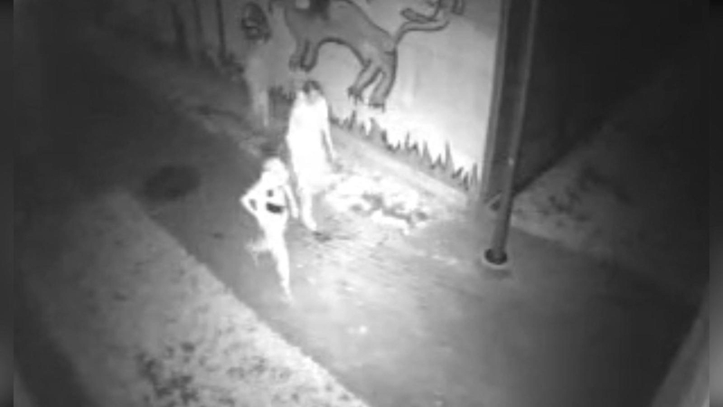 Prašo pagalbos: ieškomi jaunuoliai, vasarą niokoję mokyklos krepšinio aikštelę