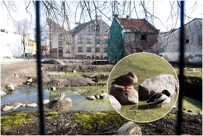 Klaipėdos senamiestis – tarsi liūnas