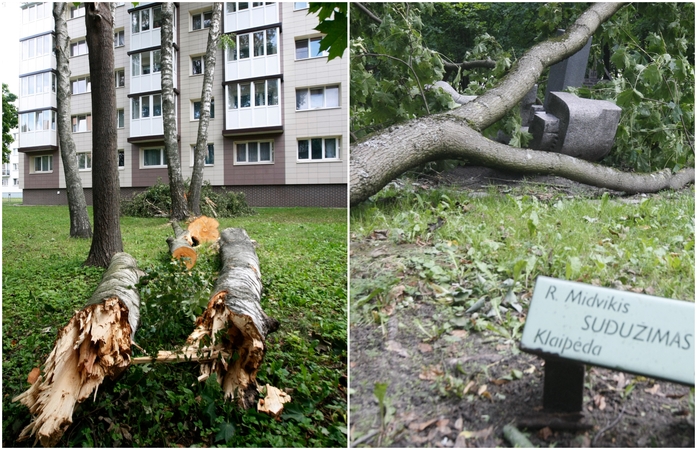 Po galingos audros Klaipėdoje kuoptis teks porą savaičių