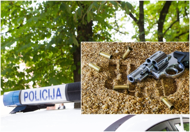 Panevėžio parke rastas revolveris