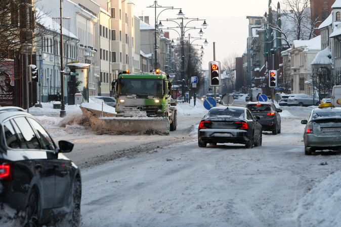 Dėl I. Šakalienės – į Kontrolės komitetą