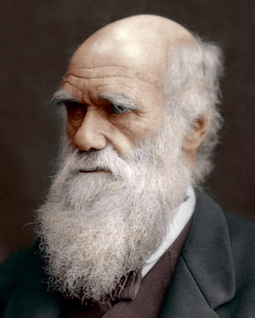 Prisiminkime Ch. Darwiną