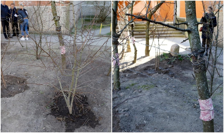 Dėl valstybinėje žemėje šeimininkaujančio kaimyno – nesutarimai