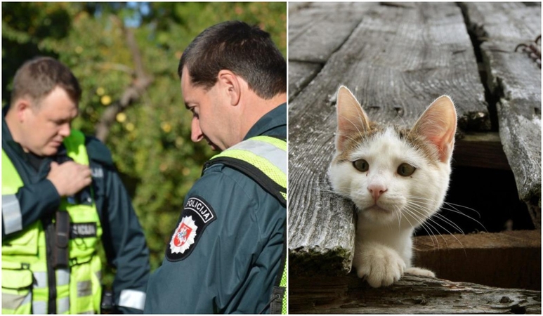 Kuriozinė situacija su katinu: pareigūnai nuramino senjorės nerimą dėl anūkių saugumo