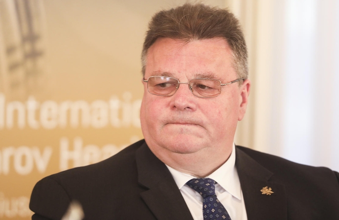 L. Linkevičius: ES šalys turėtų imtis atsakomybės stiprinant saugumą su NATO