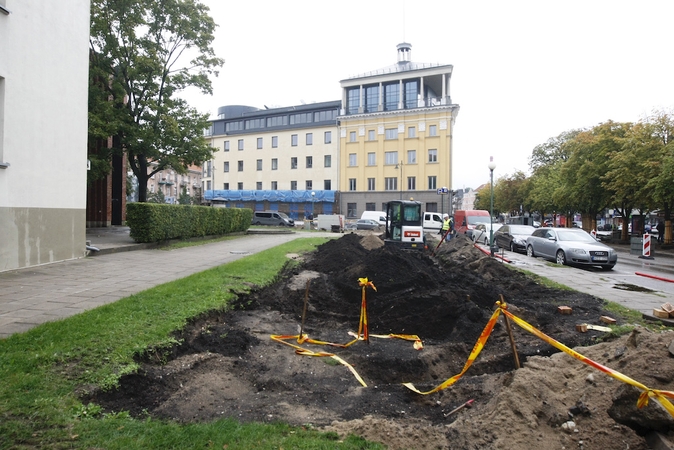 Rožynas Klaipėdos centre taps mašinų aikštele