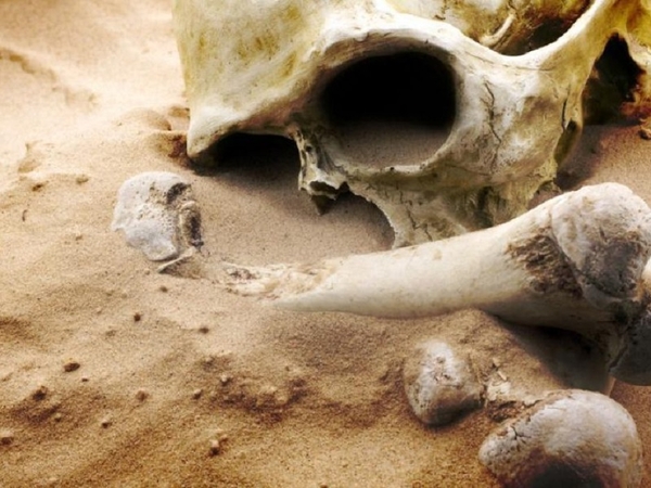 Šiurpus radinys Prienų rajono miške: aptikta galimai žmogaus kaukolė