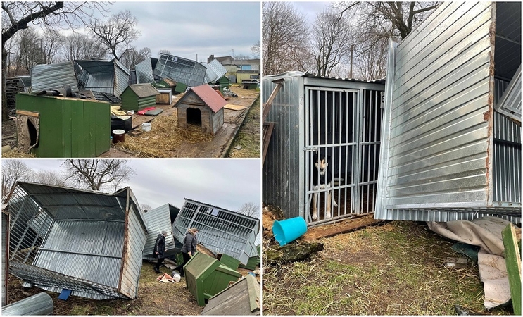 Gyvūnų prieglaudoje Klaipėdos rajone vėjas suniokojo voljerus: prašo pagalbos