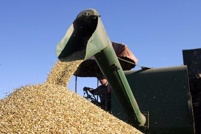 Nuo koronaviruso nukentėjusiems žemės ūkio perdirbėjams – 160 mln. eurų