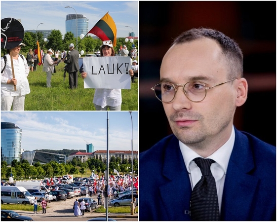 Iškeiktas M. Maldeikis policijos žada prašyti nutraukti tyrimą: žinojau, kad galiu sulaukti epitetų