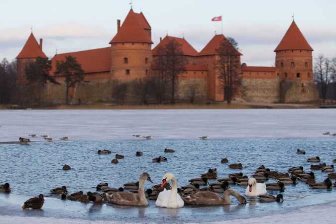 Seimas svarstys, ar istorinėms Lietuvos sostinėms suteikti specialų statusą