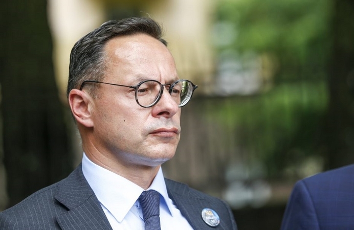 Opozicijos atstovė: Ž. Pavilionis kenkia parlamentinei diplomatijai