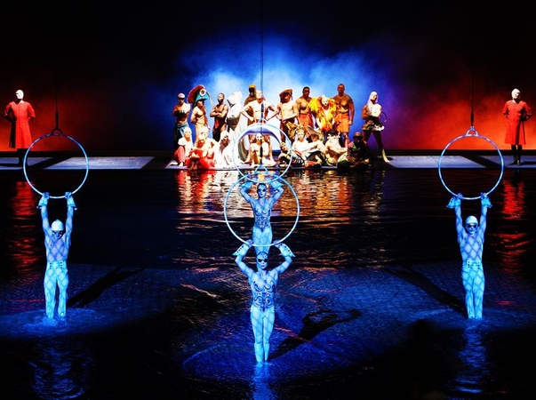 Po debiuto socialiniuose tinkluose tapo  „Cirque du Soleil“ komandos nariu 