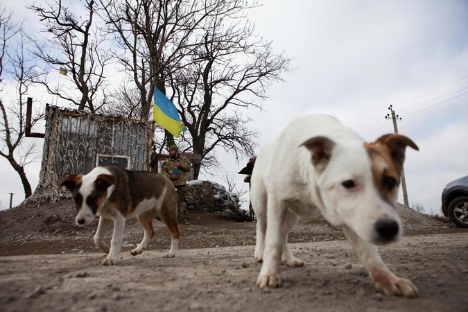 Mariupolio srityje gyvenantys ukrainiečiai nusivylę viskuo