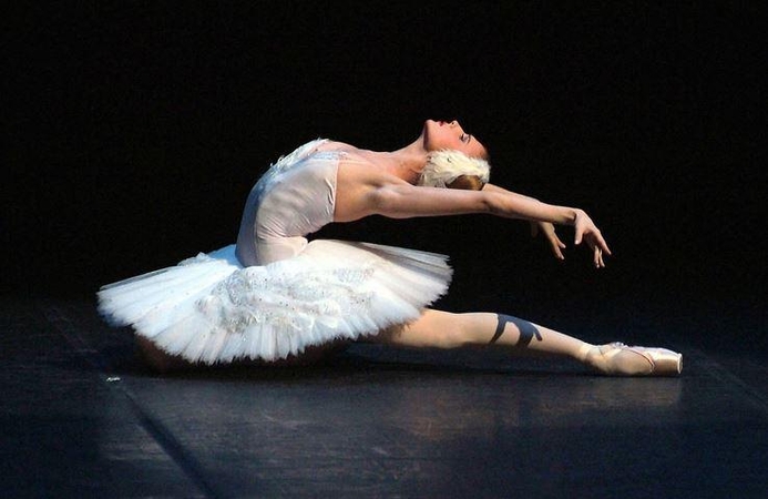 S. Zacharova