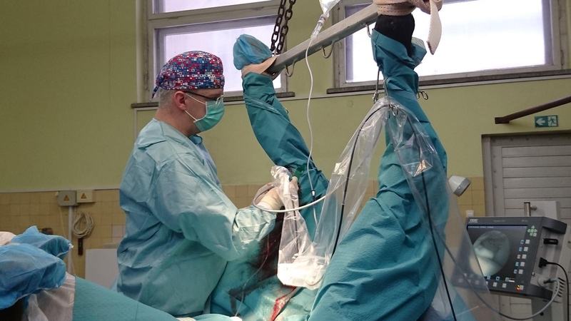 Kaune žirgui atlikta unikali operacija   