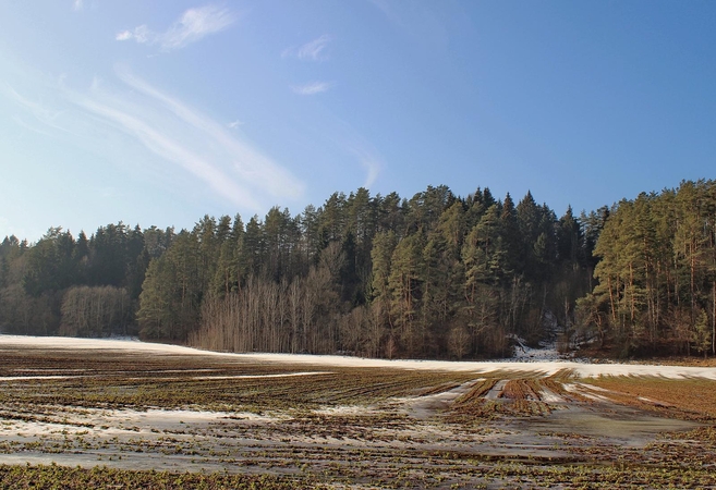 Neries regioniniame parke atrastas piliakalnis
