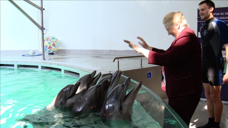 Išsipildė kaunietės svajonė pamatyti gyvus delfinus