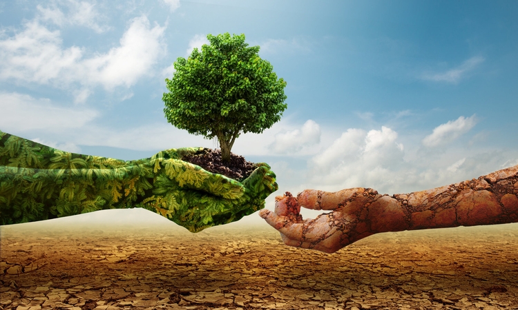Klimato kaita – galingas rizikos daugiklis