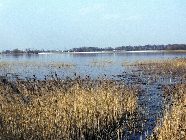 Švedės tvenkinys