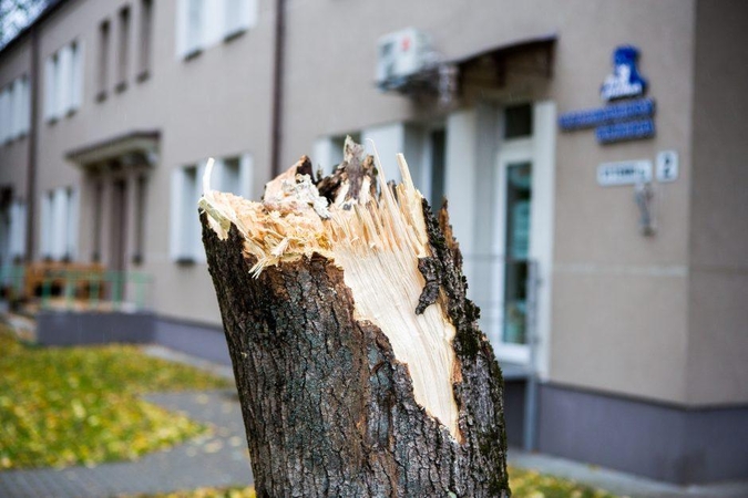 Per parą ugniagesiai šalino kone 90 stipraus vėjo padarinių