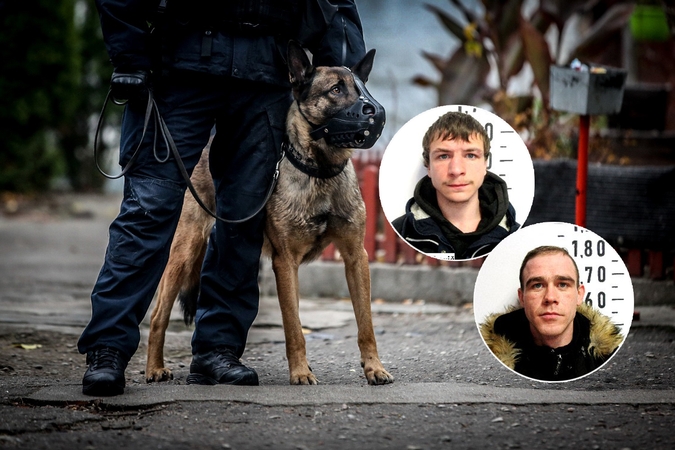 Į Pravieniškes negrįžo į darbą išleisti du nuteistieji