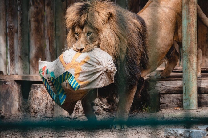 Netikėta: moteris po mirties Lietuvos zoologijos sodui paliko 30 tūkst. eurų