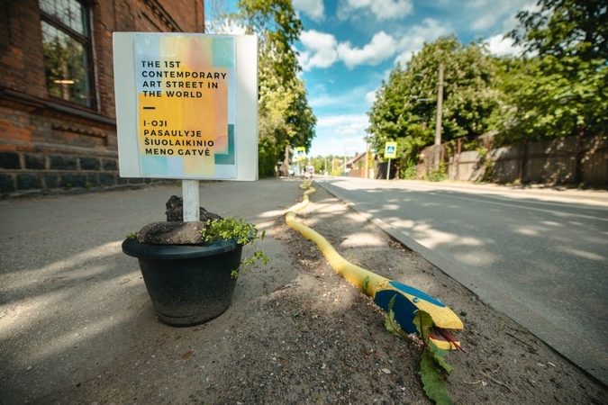Sudomino Šančiuose įsirangiusi milžiniška gyvatė: neeilinių objektų yra ir daugiau