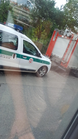 Specialiosios tarnybos gelbėjo šimtametę garsaus menininko našlę