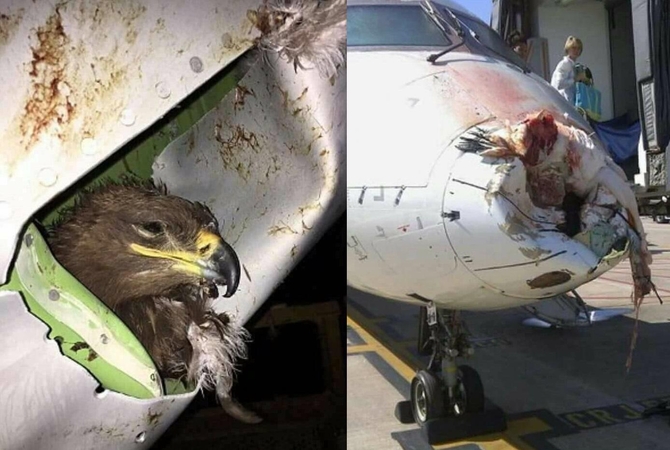 Internautai spėlioja: tragedija ore ar netikra naujiena?