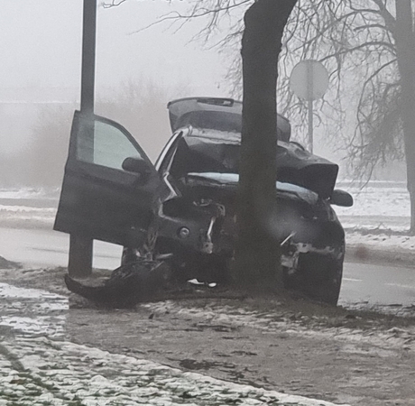 Netikėta akistata su medžiu: žmonės nenukentėjo, bet BMW – sumaitotas