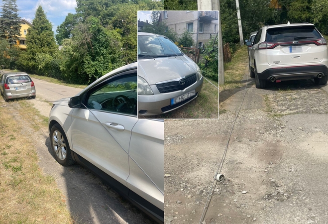 Kaune vėjas jau pridarė žalos: negaliu išvažiuoti iš kiemo! 