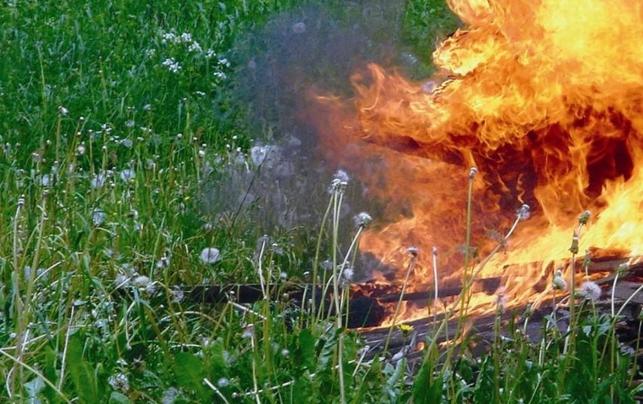 Per ilgąjį savaitgalį Lietuvoje kilo daugiau nei šimtas žolės gaisrų