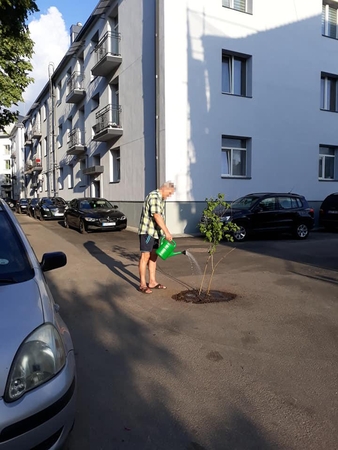 Su duobėmis daugiabučių kiemuose kauniečiai „kovoja“ išradingai