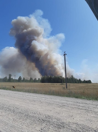 Į Kauno rajoną lėkė gausios ugniagesių pajėgos: degė 200 hektarų javų laukas