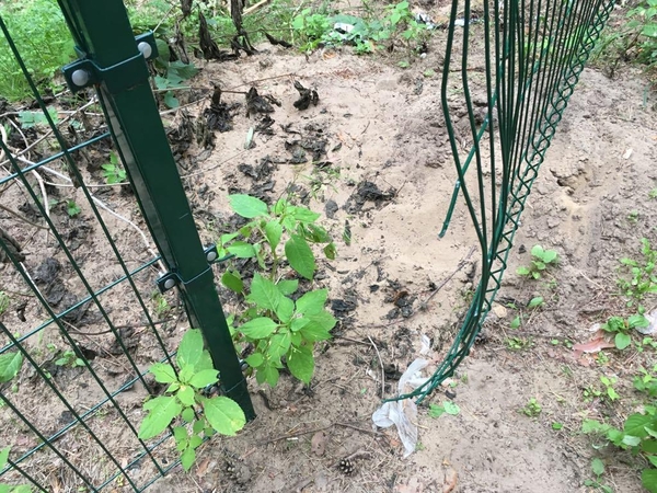 Vandalai suniokojo naują Petrašiūnų kapinių tvorą