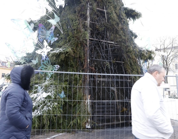 Įtariamojo Kauno eglės padegimu portretas: paaiškėjo, už ką jau buvo teistas