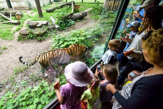 Atidiems kauniečiams – Lietuvos zoologijos sodo dovana