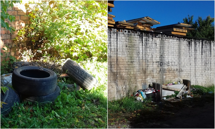 „Gamtos sekliai“: nedelsk, jei pamatei šiukšlyną