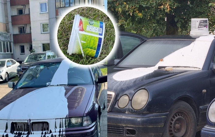 Automobilių vandalai šiurpina gyventojus: už ką tokia bausmė?
