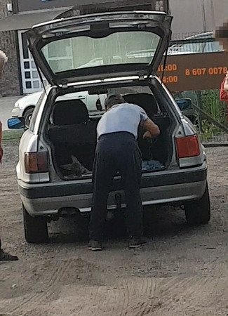 Detektyvas dėl sužeistos stirnos: neaišku, kas ją paėmė?