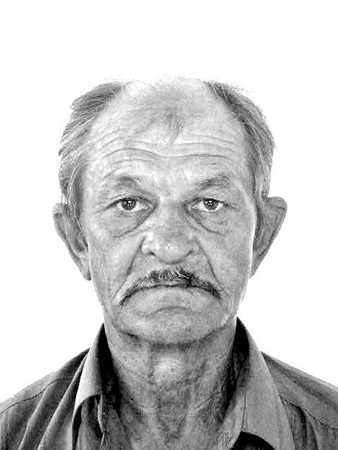 Aleksandras Polovinkas