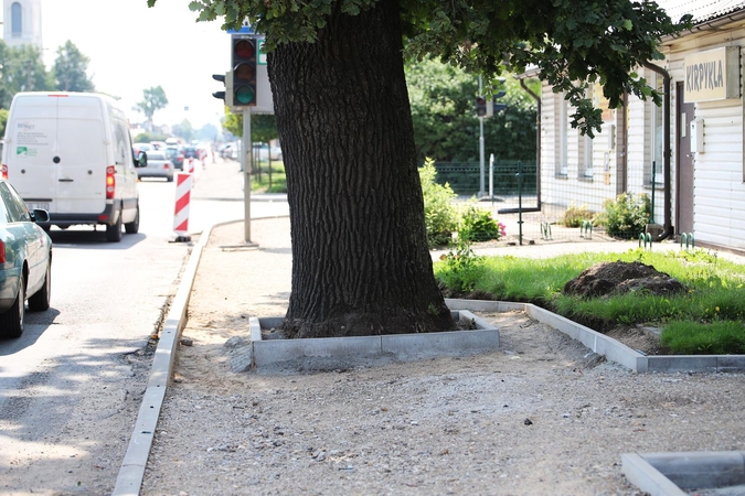Garliavos dilema: kas svarbiau – ąžuolas, žmonės ar kvadratinis metras žemės?